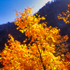 富山県中新川郡立山町