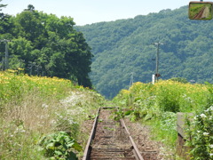 北海道浦河郡浦河町