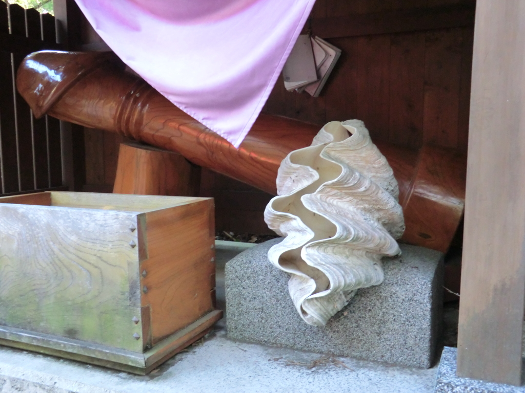 千葉県南房総市白浜町