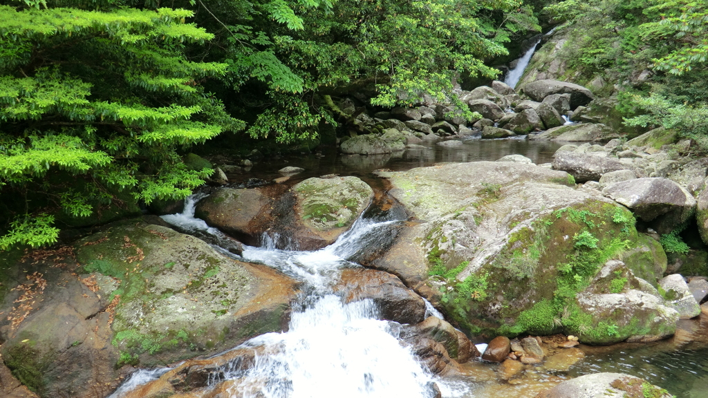 鹿児島県熊毛郡屋久島町
