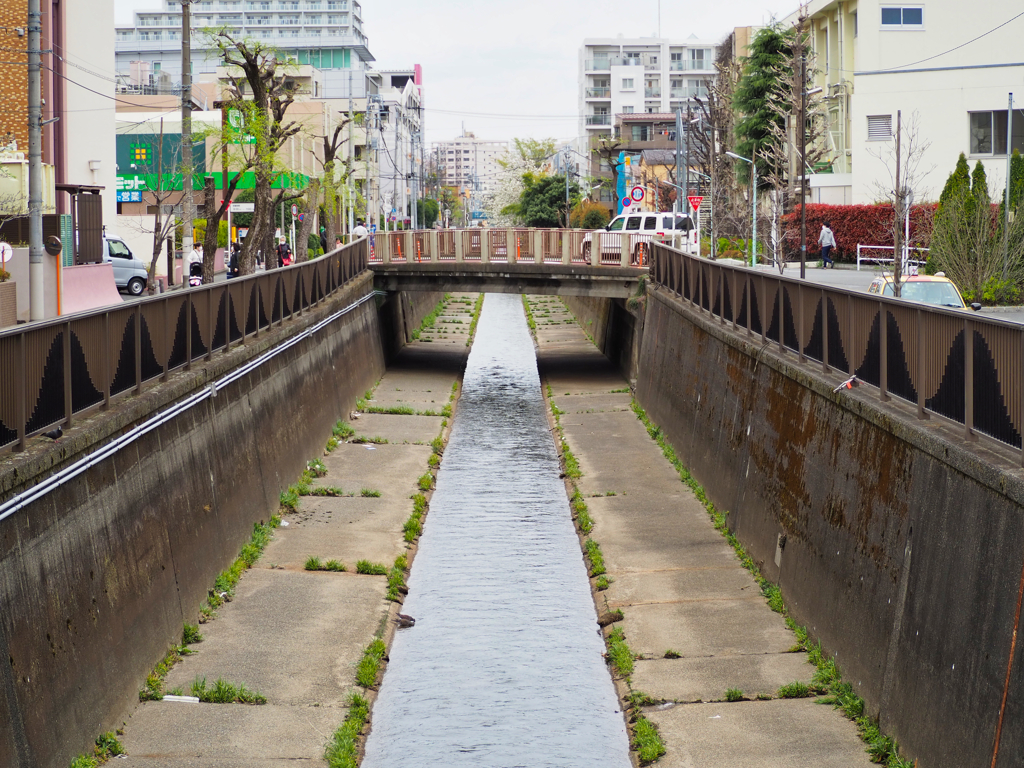 東京都杉並区