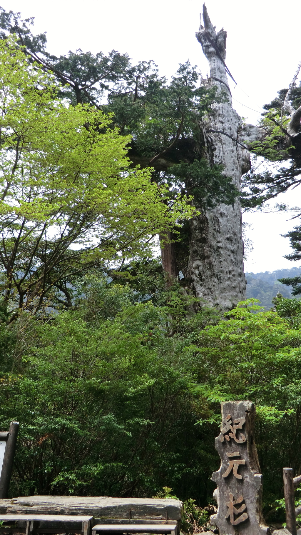鹿児島県熊毛郡屋久島町