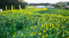 再）沖縄県中頭郡北中城村 