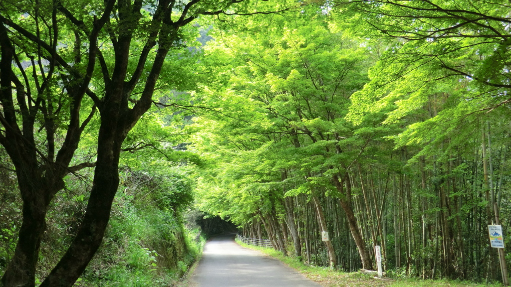 愛知県豊田市