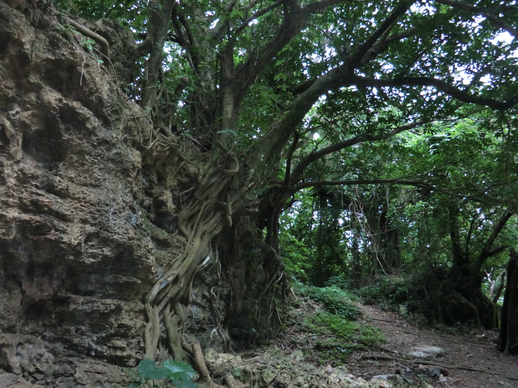 沖縄県うるま市