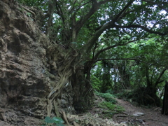 沖縄県うるま市
