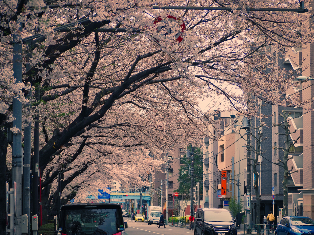 東京都練馬区