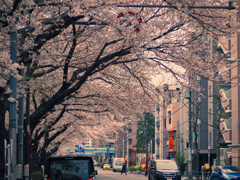 東京都練馬区