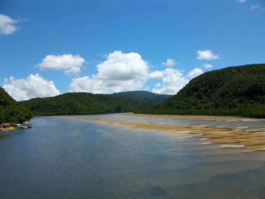 西表島　