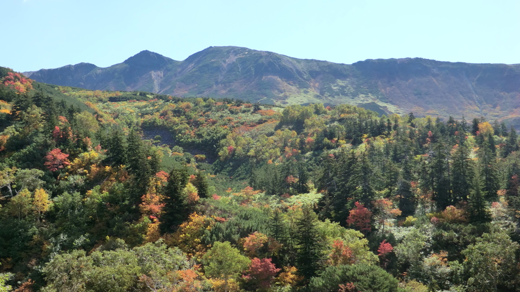 北海道空知郡上富良野町