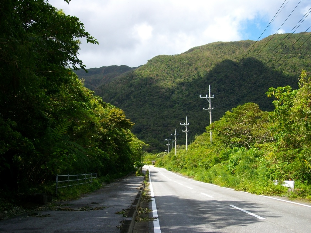 西表島