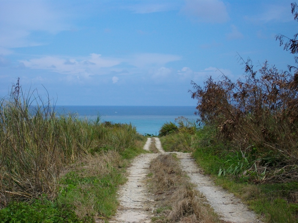 小浜島