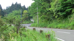 鹿児島県熊毛郡屋久島町