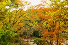 埼玉県比企郡嵐山町