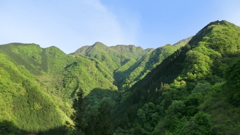 埼玉県秩父郡小鹿野町両神薄