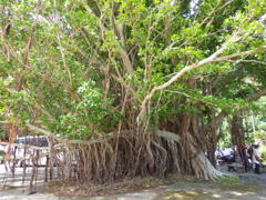 鹿児島県肝属郡南大隅町
