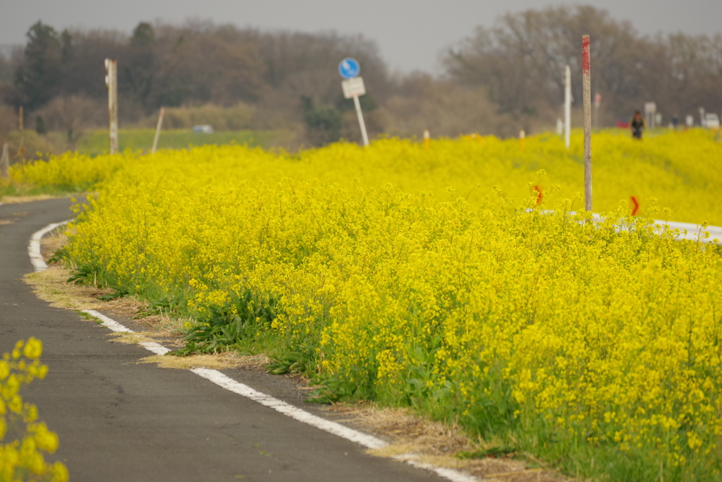 埼玉県比企郡川島町