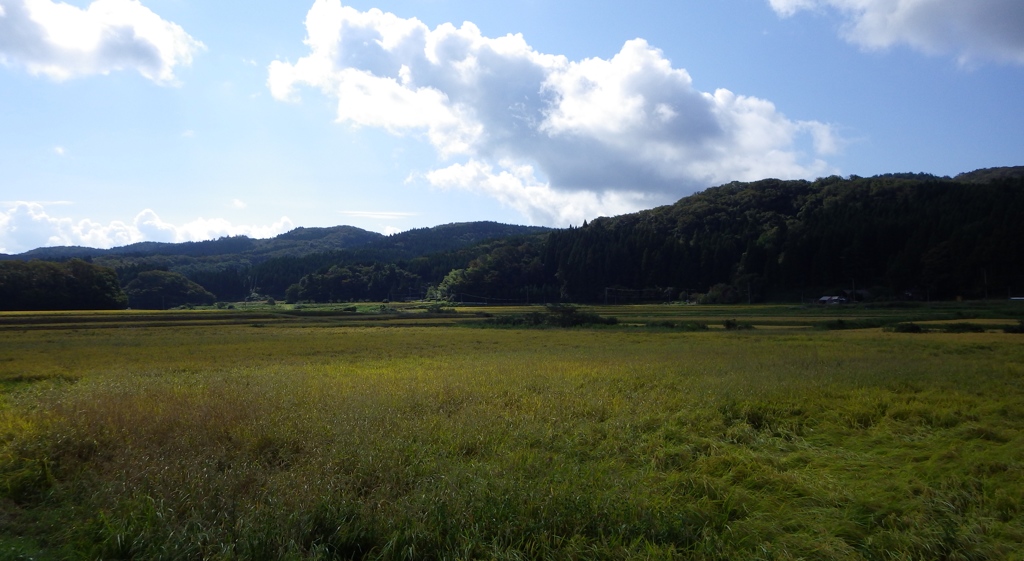 秋田県由利本荘市