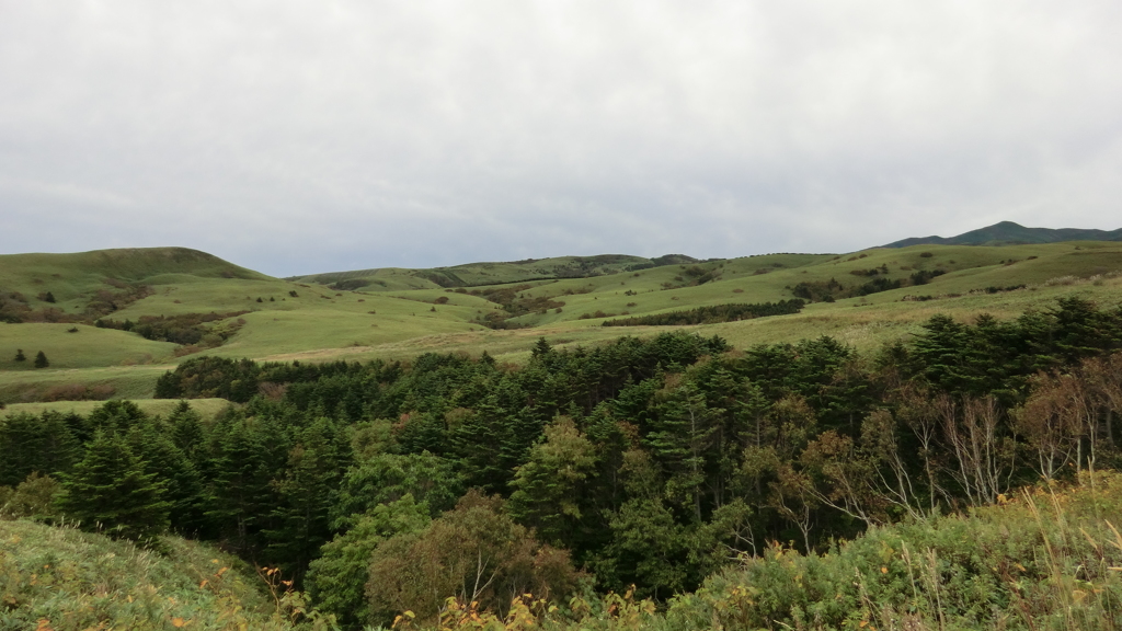 北海道礼文郡礼文町大字船泊村