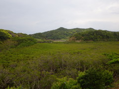 鹿児島県熊毛郡南種子町