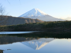  山梨県南都留郡富士河口湖町