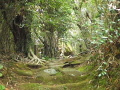 鹿児島県西之表市