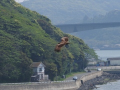 佐賀県唐津市