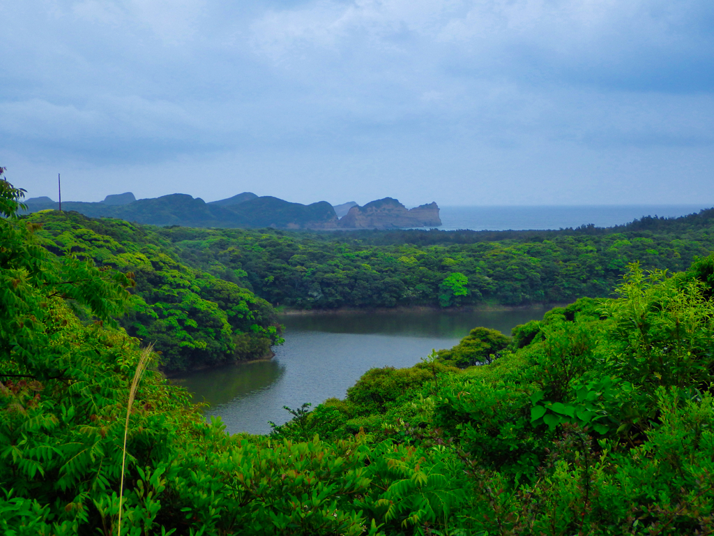 再）鹿児島県熊毛郡南種子町