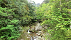 鹿児島県熊毛郡屋久島町