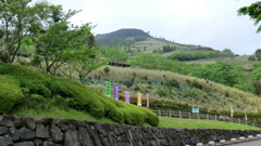 鹿児島県霧島市