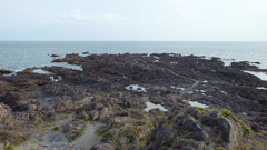 鹿児島県指宿市