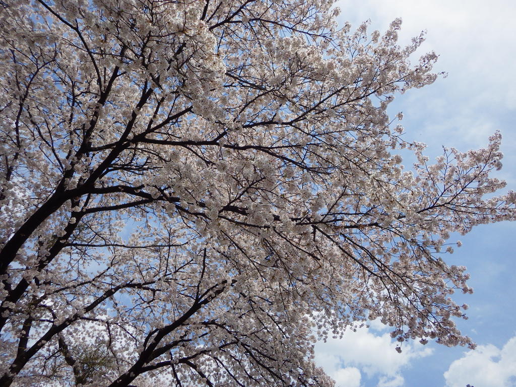 群馬県前橋市