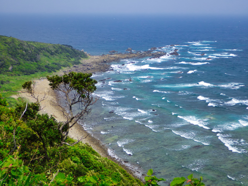 鹿児島県西之表市