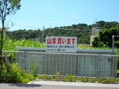 沖縄ツーリング　ちょっとカルチャーショック