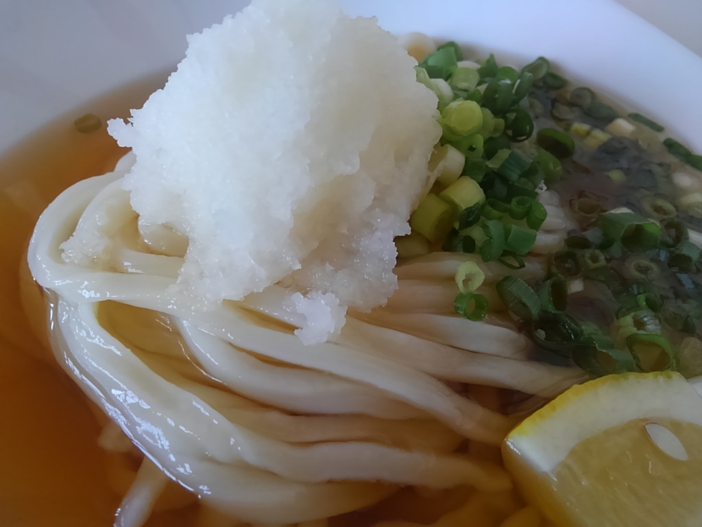 飯テロ　ぶっかけうどん