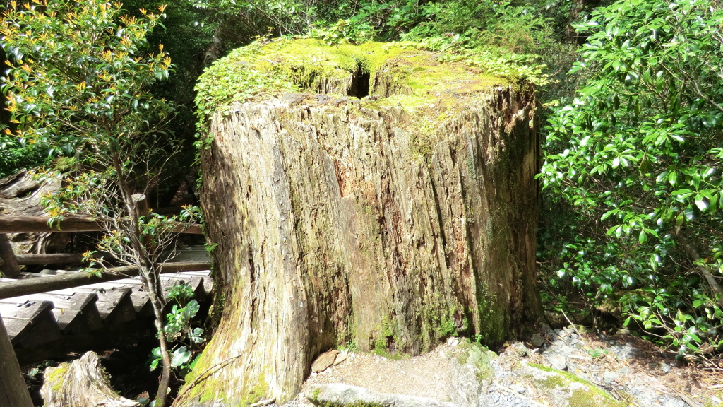 鹿児島県熊毛郡屋久島町