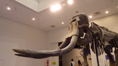 北海道札幌市厚別区