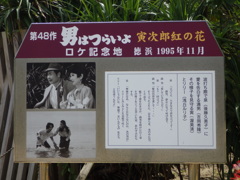 鹿児島県大島郡瀬戸内町