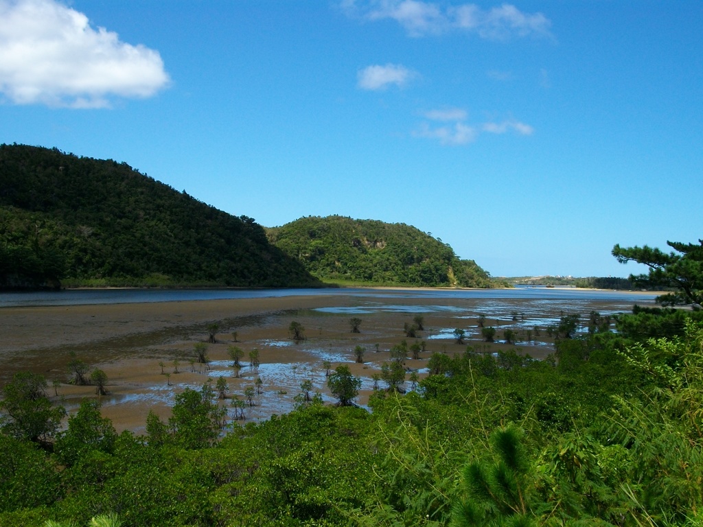 西表島　