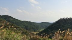 沖縄県島尻郡座間味村