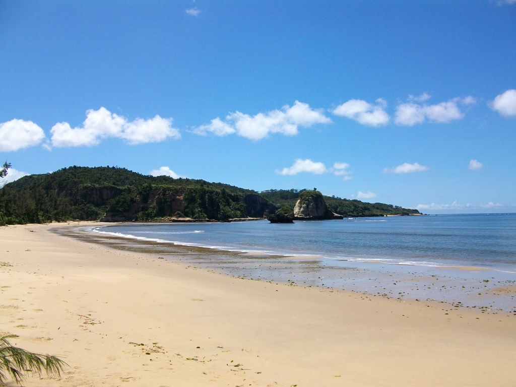 西表島