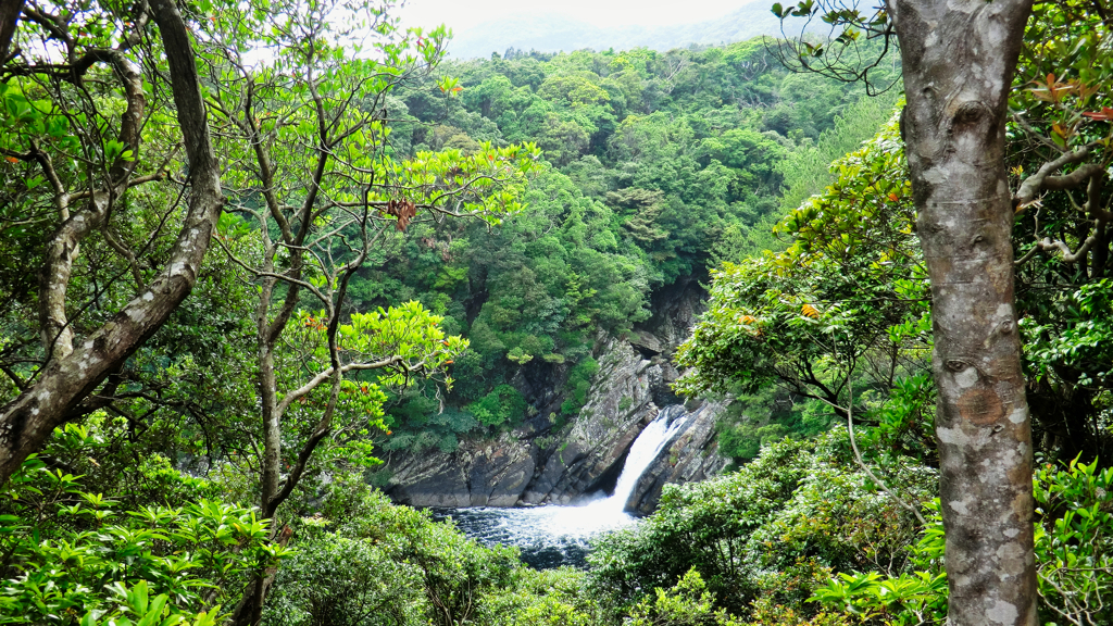 再）鹿児島県熊毛郡屋久島町