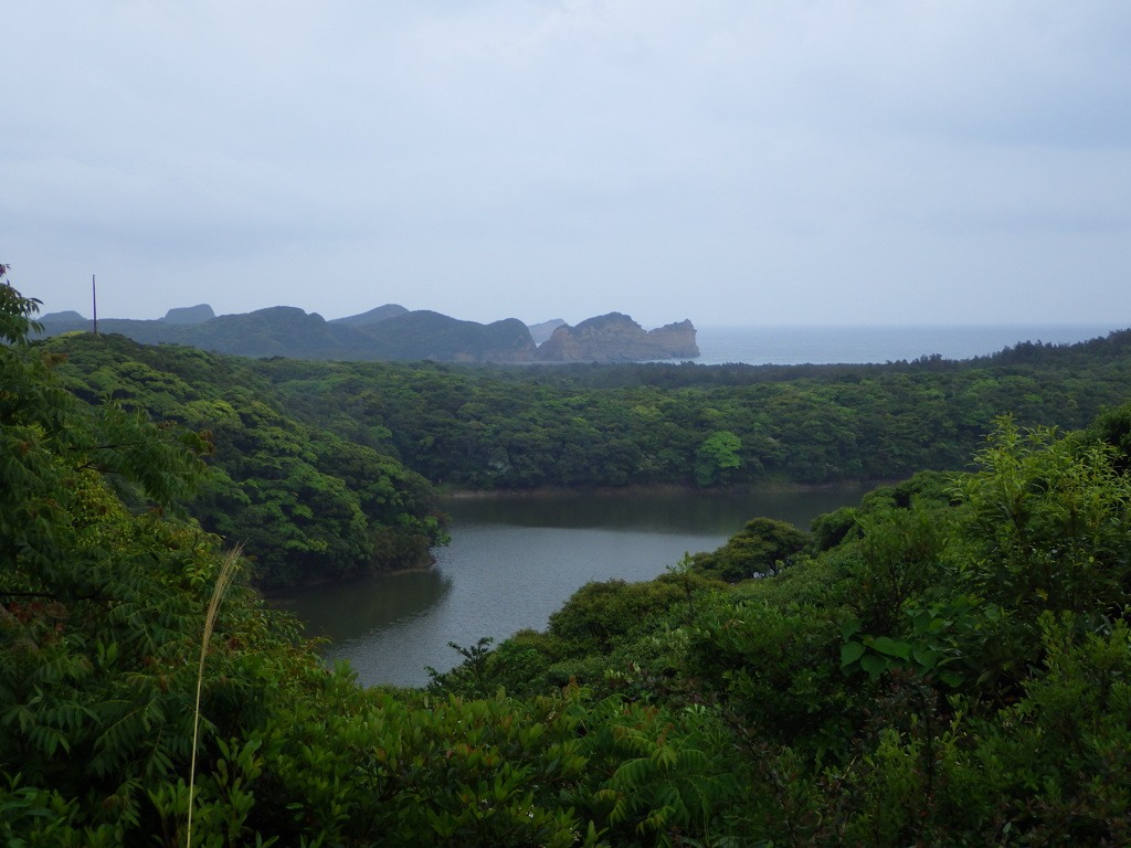  鹿児島県熊毛郡南種子町