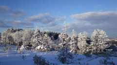 北海道網走郡美幌町