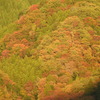 茨城県常陸太田市
