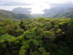 鹿児島県大島郡