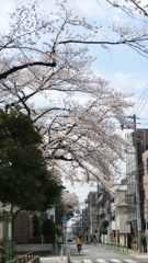 東京都練馬区豊玉北