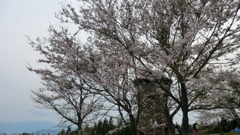 神奈川県秦野市