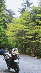 再）鹿児島県熊毛郡屋久島町