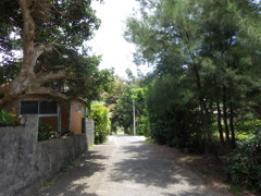 鹿児島県大島郡瀬戸内町